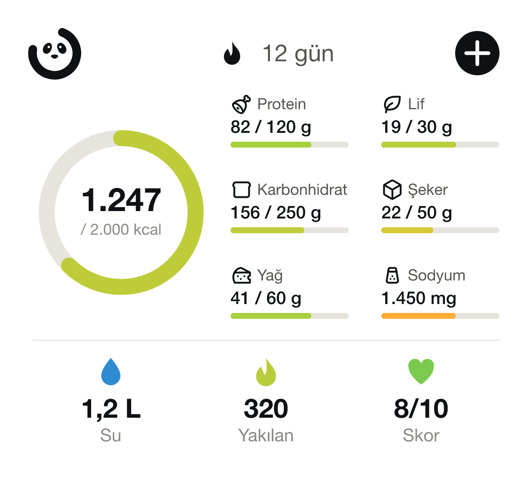 Tam Özet widget'ı: kalori halkası, makrolar, su, yakılan ve skor